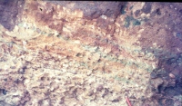 Malachite in sandstone